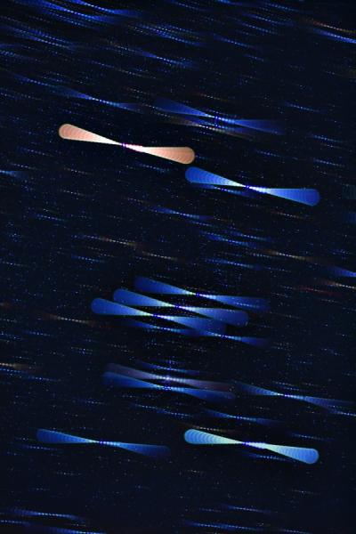 人类第一次记录下整个太阳360度的形象