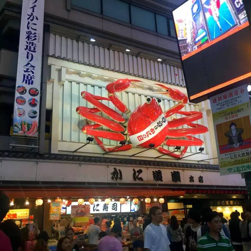 如何穷游日本30天,美女穷游日本15天