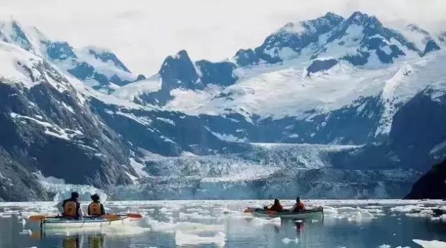 阿里巴巴员工连去十趟南极景色壮美企鹅在腿上睡着