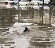 致电一妹子收快递，彩铃是爱你一万年