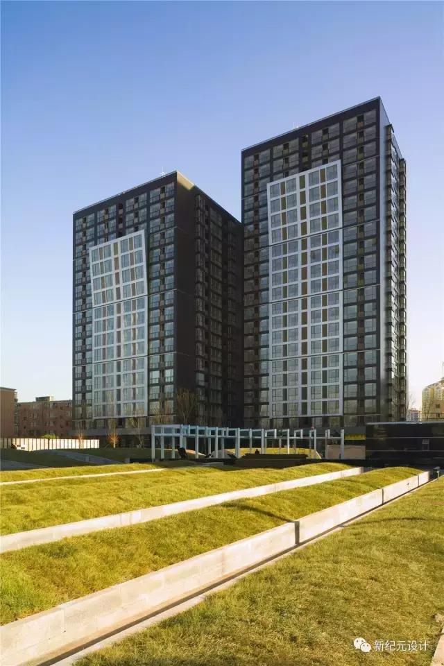 newera涓紡璁捐,newera璁捐