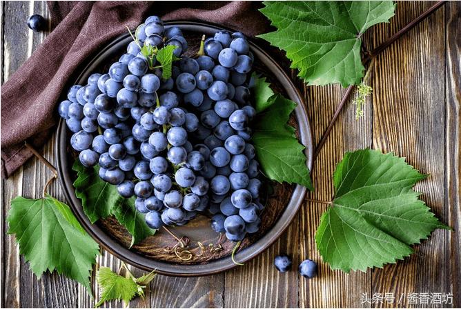葡萄酿酒完的酒渣如何利用,自制葡萄酒多久过滤皮渣