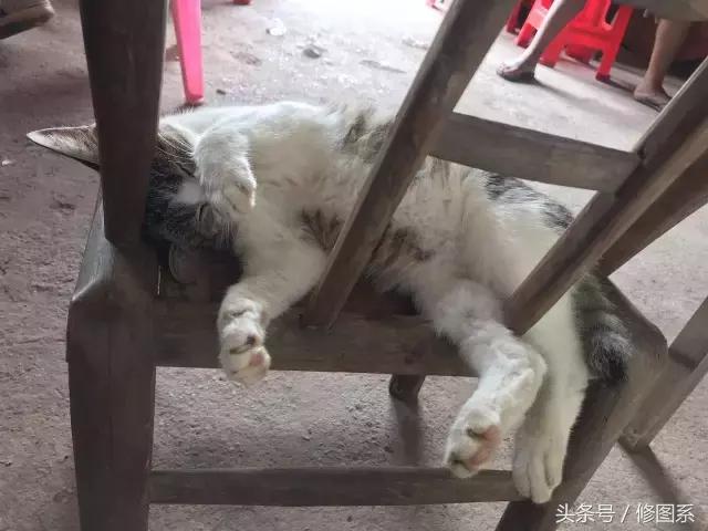 修图师会用哪些修图软件,修图师都用ps么