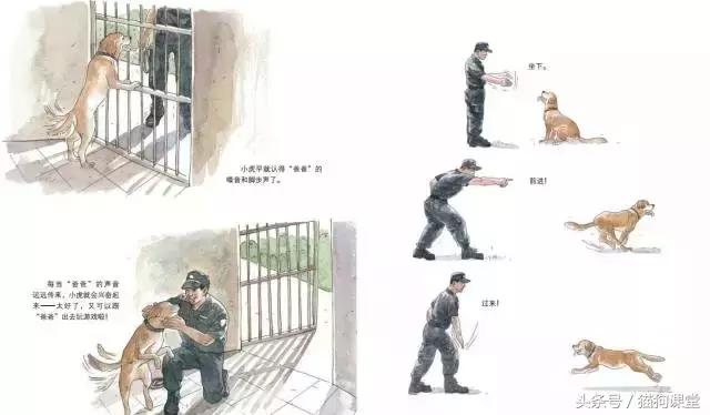 在动物园如何给孩子科普动物知识,7-12岁儿童动物世界科普