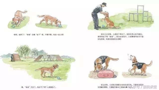 在动物园如何给孩子科普动物知识,7-12岁儿童动物世界科普