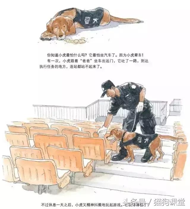 在动物园如何给孩子科普动物知识,7-12岁儿童动物世界科普