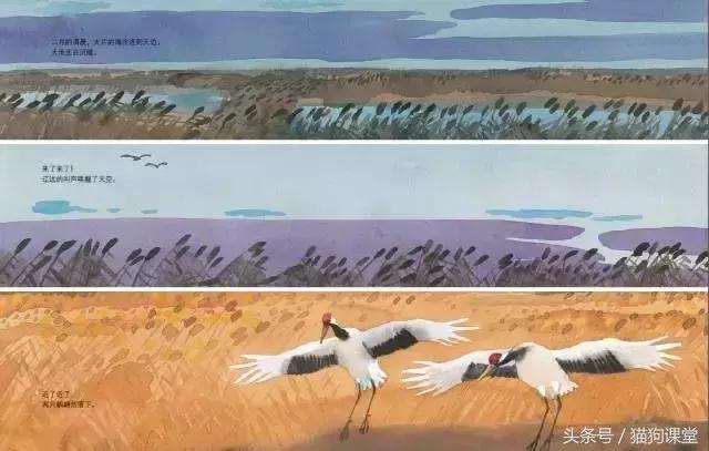 在动物园如何给孩子科普动物知识,7-12岁儿童动物世界科普