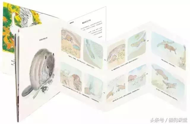 在动物园如何给孩子科普动物知识,7-12岁儿童动物世界科普