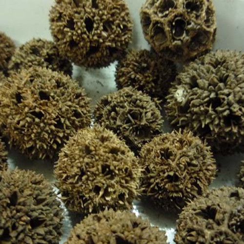 农村少见到的稀奇物品,农村不起眼的土特产