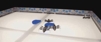 神的触手被做了出来，可以轻松吸住柱状体！