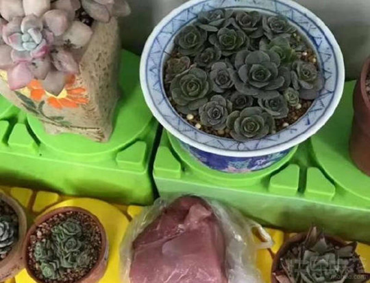 夫妻俩离婚争孩子,夫妻两没结婚证离婚争孩子