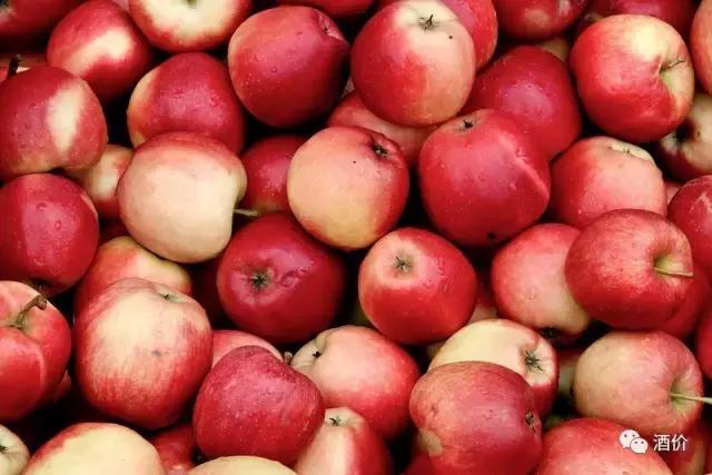 调酒夏日水果酒,调酒要的饮料