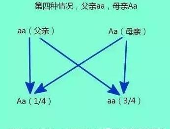 父亲脱发儿子脱发几率,父辈脱发一定会遗传吗