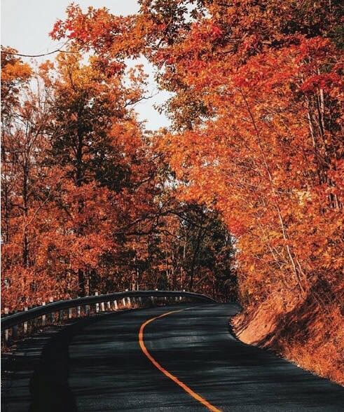 秋季应怎么养生,秋季喝什么茶养生最好