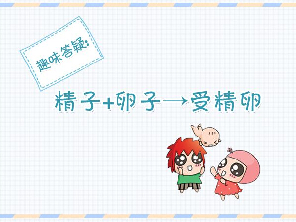 精子胚胎发育全过程,精子卵子发育过程