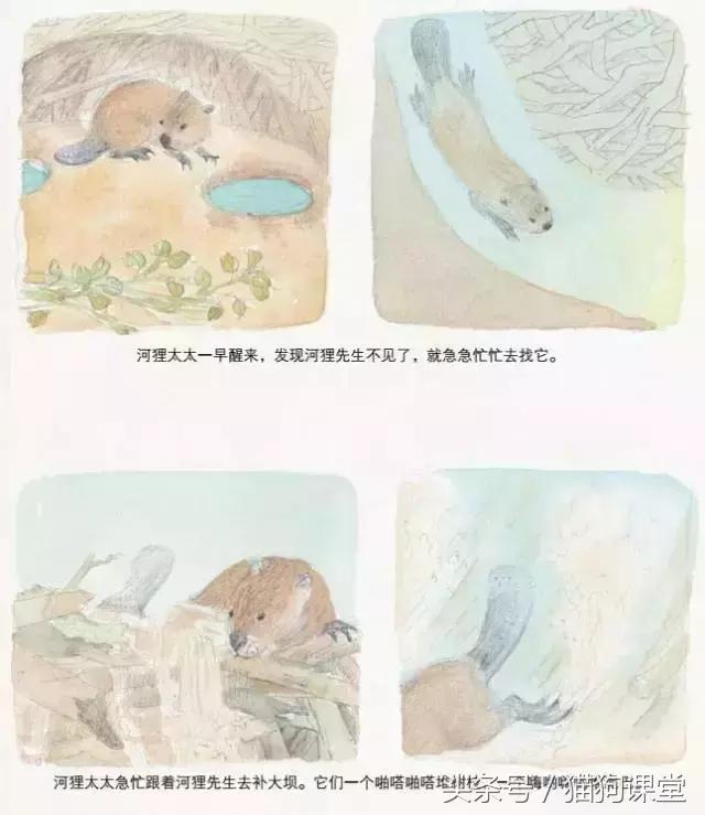 在动物园如何给孩子科普动物知识,7-12岁儿童动物世界科普