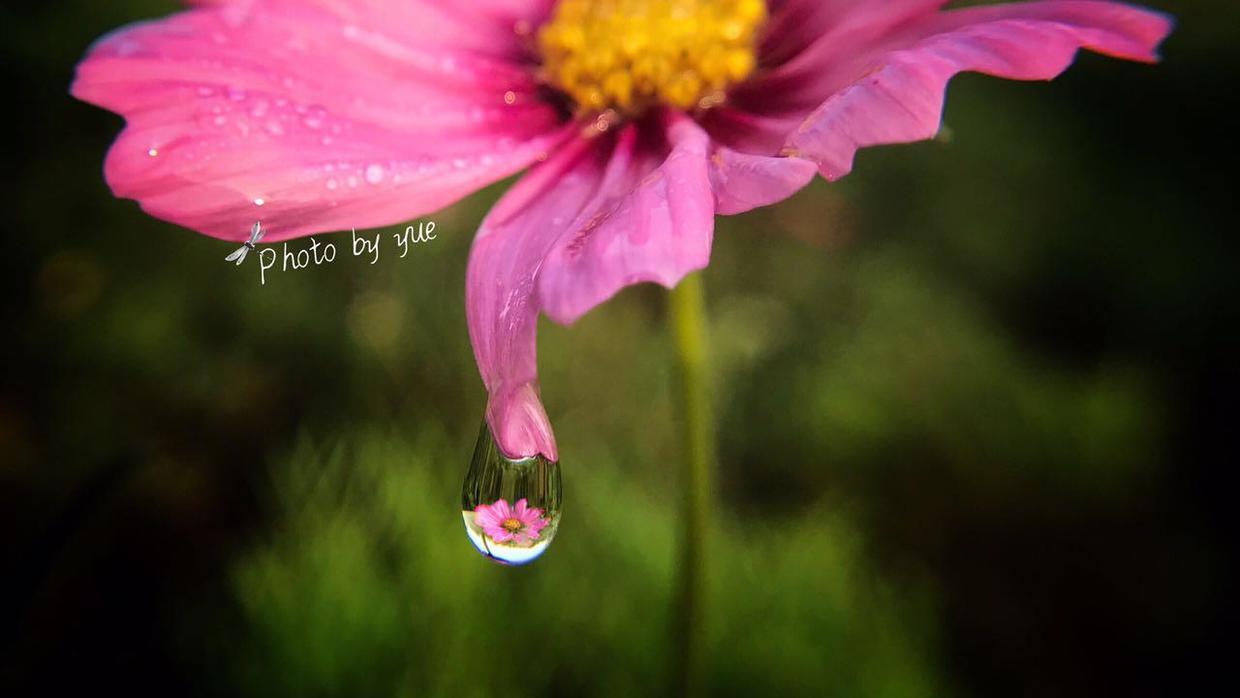 想给照片加个印章水印怎么做,如何给照片上面加印章