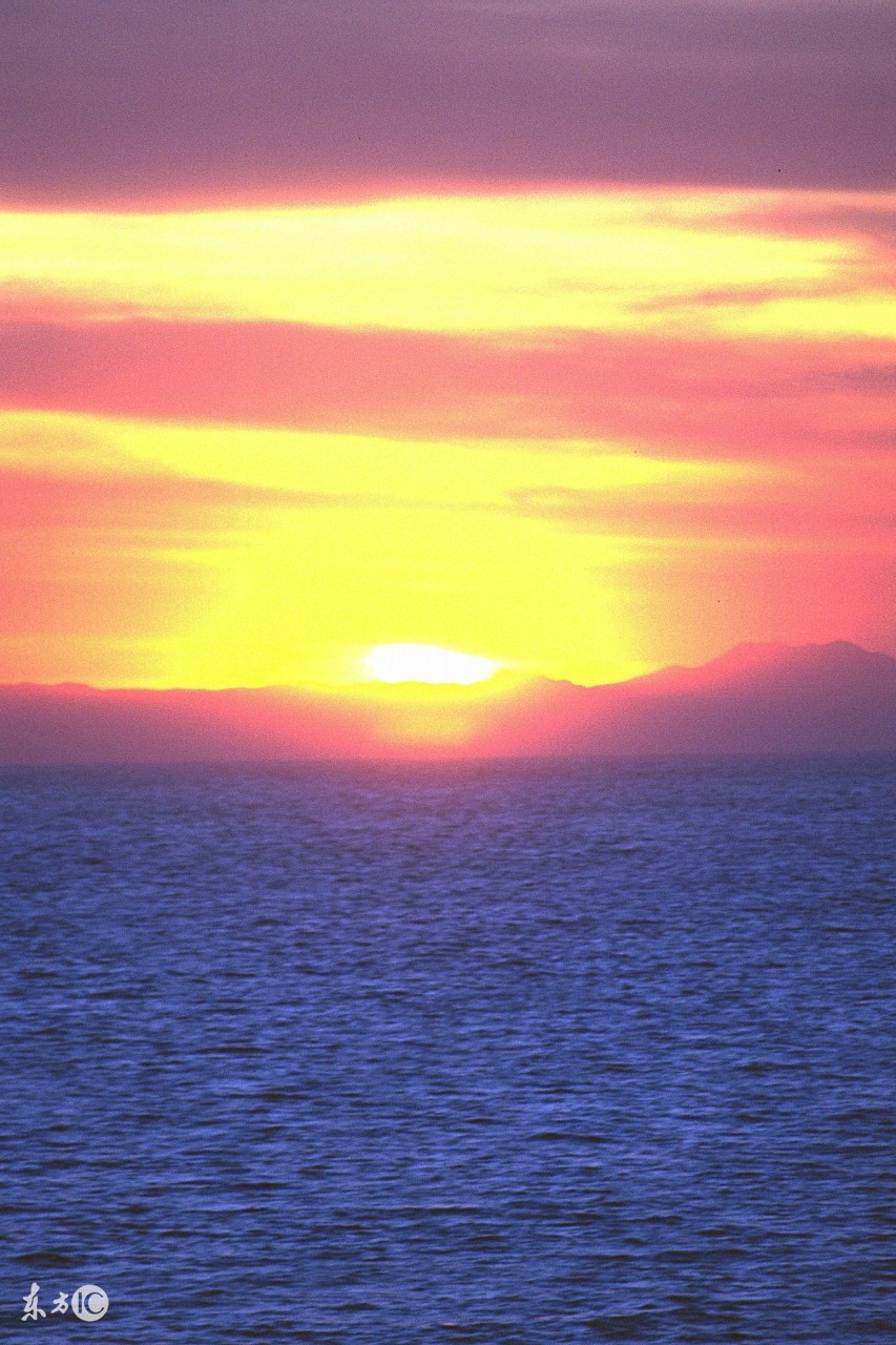 英语初三全一册3单元语法,初三英语全一册人教版课文