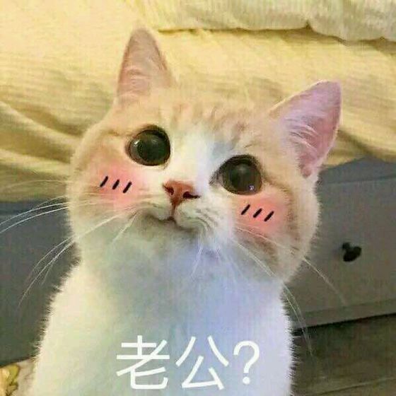 情侣头像ins高级质感高清,特别明显的高清情侣头像