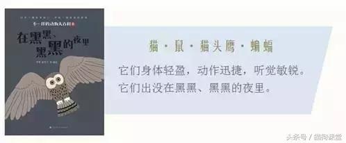 在动物园如何给孩子科普动物知识,7-12岁儿童动物世界科普
