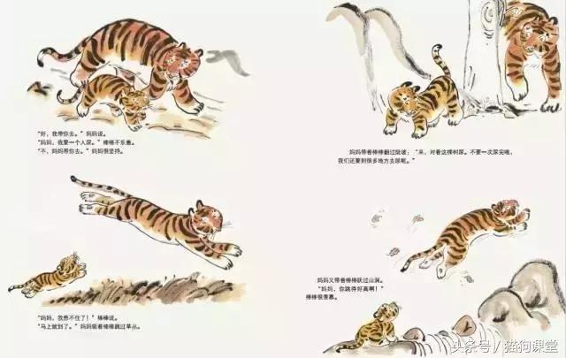 在动物园如何给孩子科普动物知识,7-12岁儿童动物世界科普