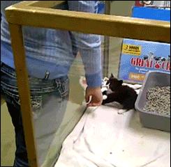 搞笑的段子一脚高来一脚低,关于一脚的搞笑段子