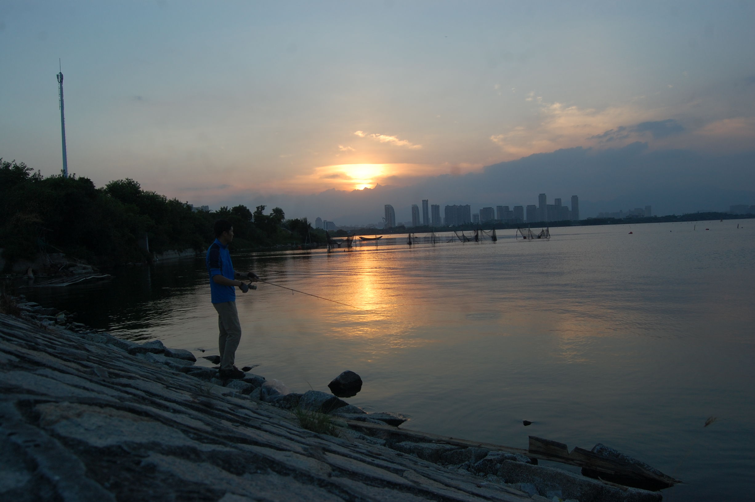 新手罗非鱼钓法,新手罗非鱼