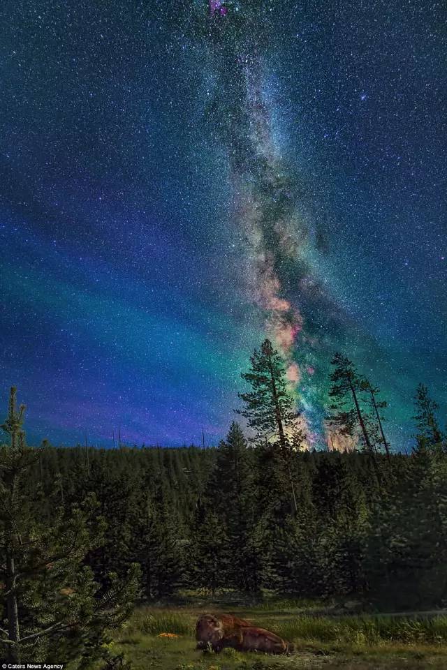 美国最震撼的日全食,美国日全食地点