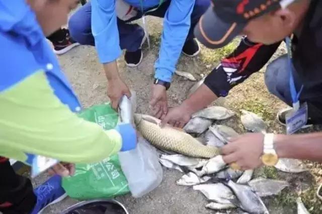 济南行营战队成立两年，多次出征屡获佳绩！