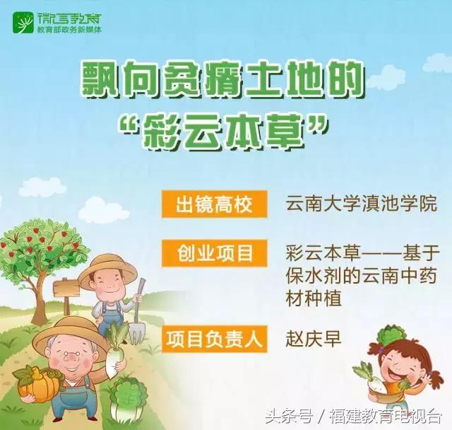 厦大创业团队卖农产品获总书记点赞这样的大学生团队都有啥故事？