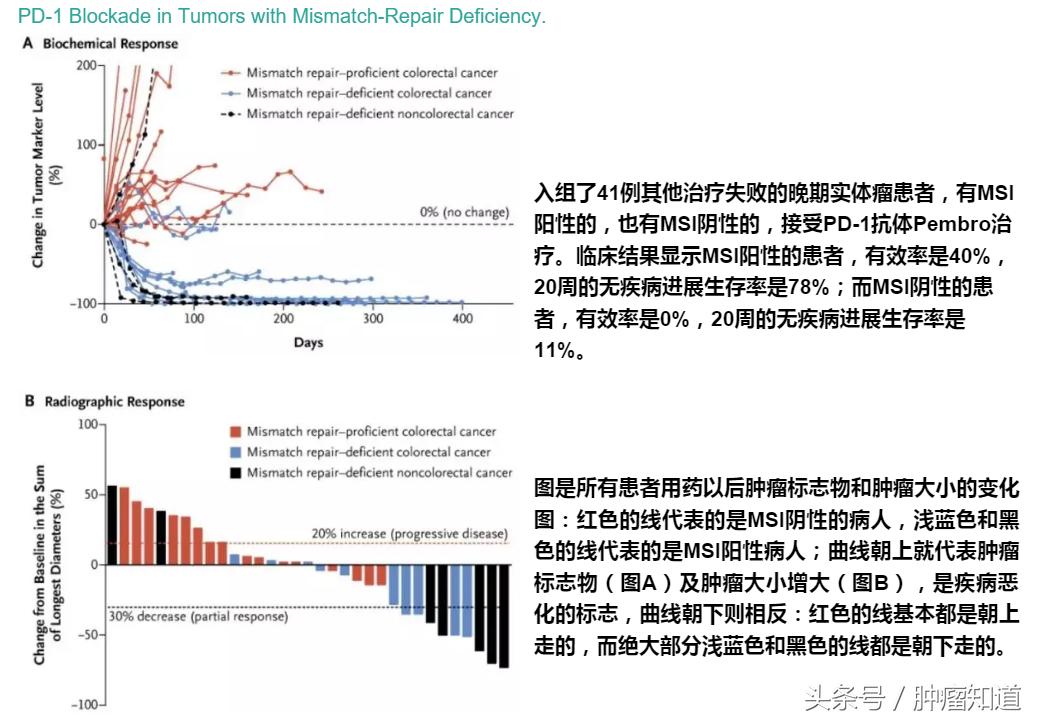 pd-1是什么制剂 (pd-1与pd-l的区别)