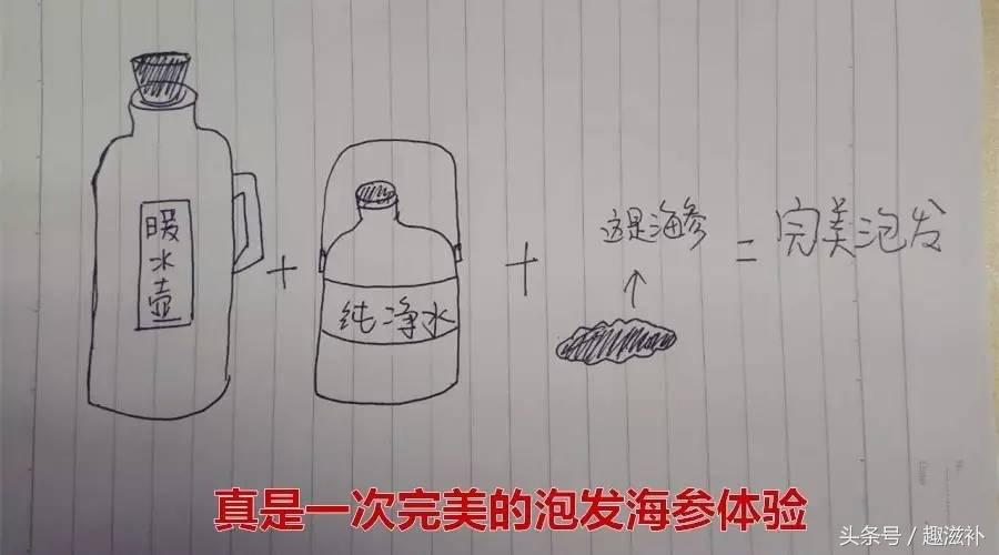 自己泡发的海参要煮多久,泡发海参的感受