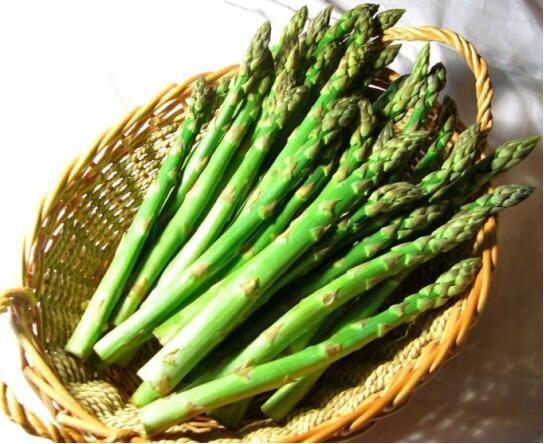 得了肿瘤癌胚抗原一定会升高吗,癌胚抗原升高意味肿瘤复发