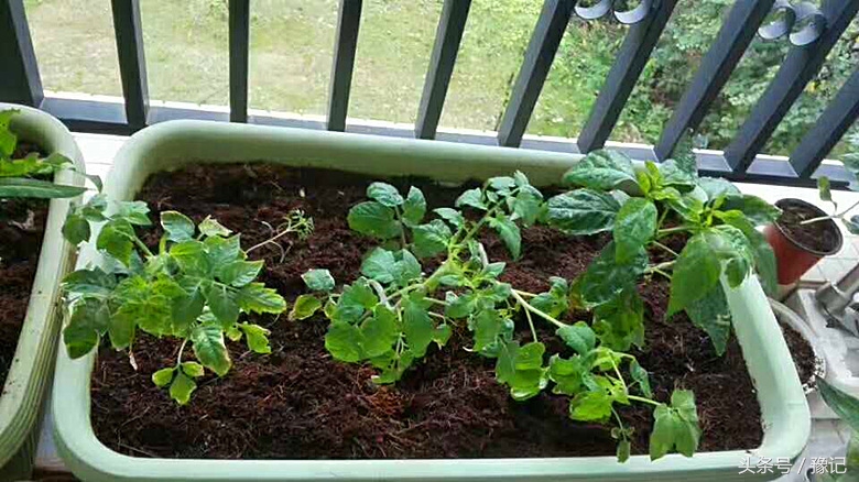 军人丈夫因公受伤妻子不离不弃,军人丈夫不离不弃照顾妻子