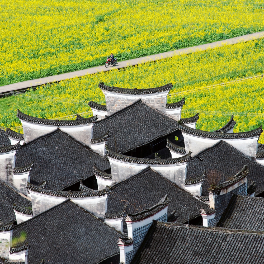 阅图是什么,阅图是什么意思