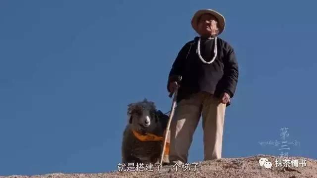 不谈风景,不谈人性谈风景