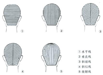 修剪发尖教程,三角梅修剪方法和技巧