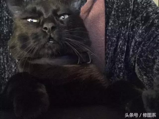 修图师会用哪些修图软件,修图师都用ps么