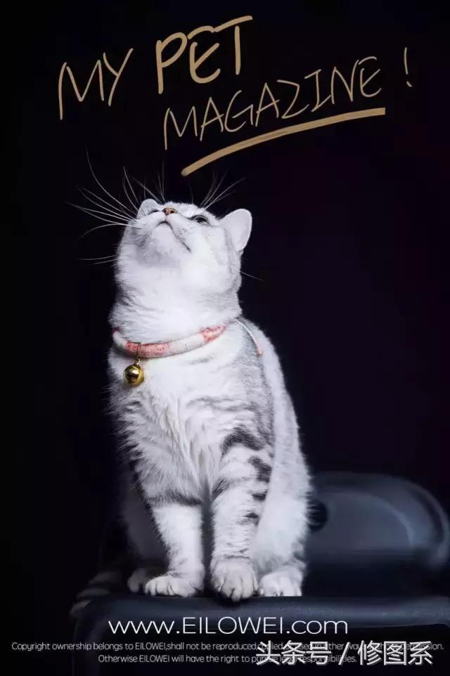 修图师会用哪些修图软件,修图师都用ps么