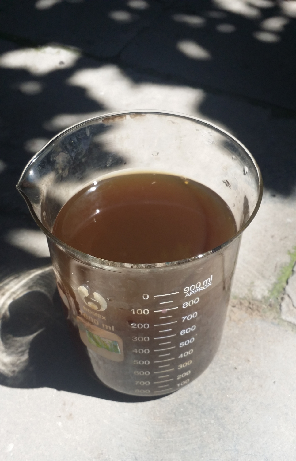 鸭跖草产地,鸭跖草百度