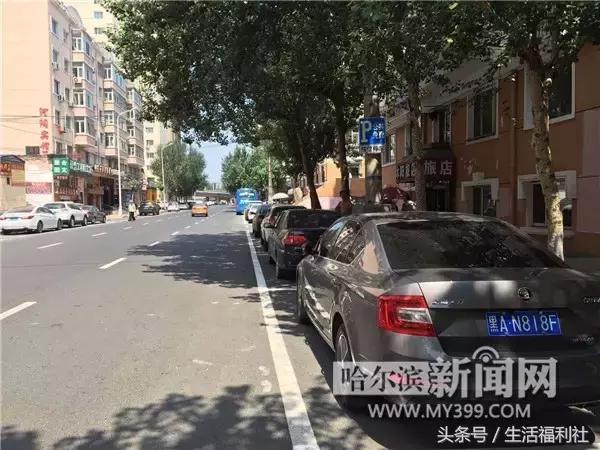 今天哈尔滨哪里免门票,2019哈尔滨免费优惠活动