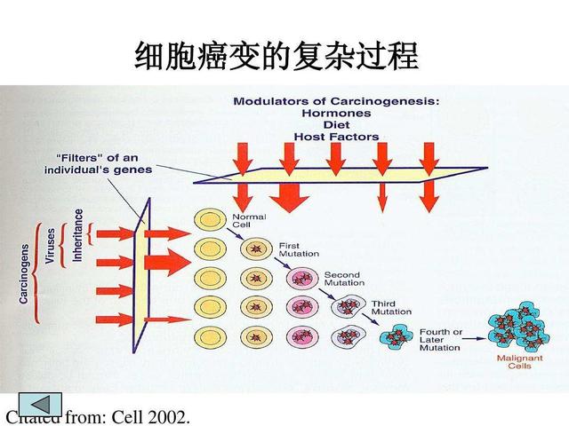 想知道自己身体是否有癌怎么检查,怀疑患了肿瘤怎么筛查最好