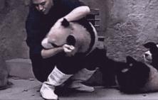 拔牙前吸了一口笑气，牙不疼了，牙医也变帅了呢！