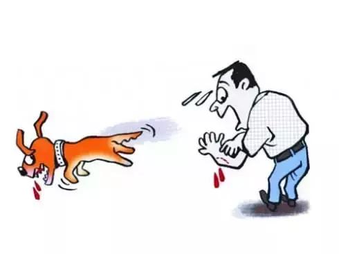 夏天狂犬病高发期！刚打的狂犬疫苗又被狗咬伤，怎么办？