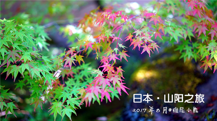 日本旅游指南探寻神秘的深夜美食,日本山阴美食攻略