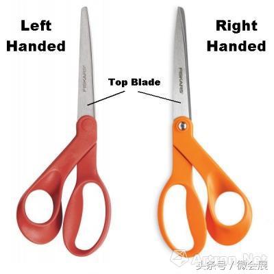 2022国际左撇子日主题,世界左撇子日