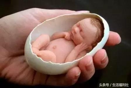 今天哈尔滨哪里免门票,2019哈尔滨免费优惠活动