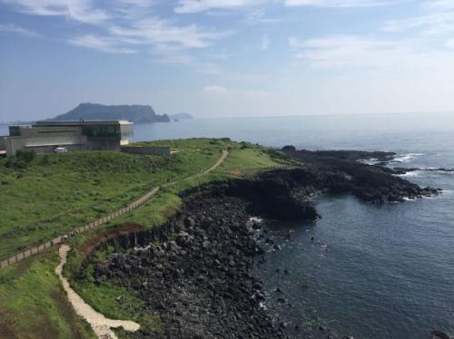 中国国际驾照去哪里考,国际驾照怎么考多少钱