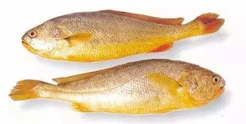 又到吃海蛎子的季节,又到了吃海鲜的季节生蚝