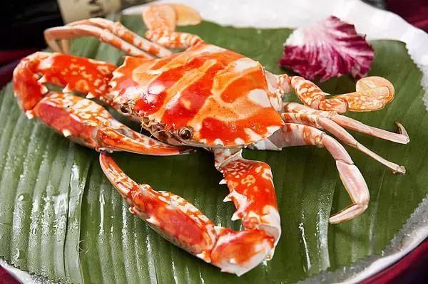 又到吃海蛎子的季节,又到了吃海鲜的季节生蚝